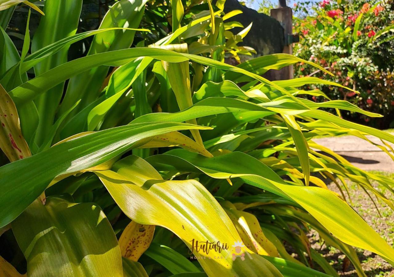 Hutiarii House & Car & Excursions Raiatea Βίλα Tevaitoa Εξωτερικό φωτογραφία