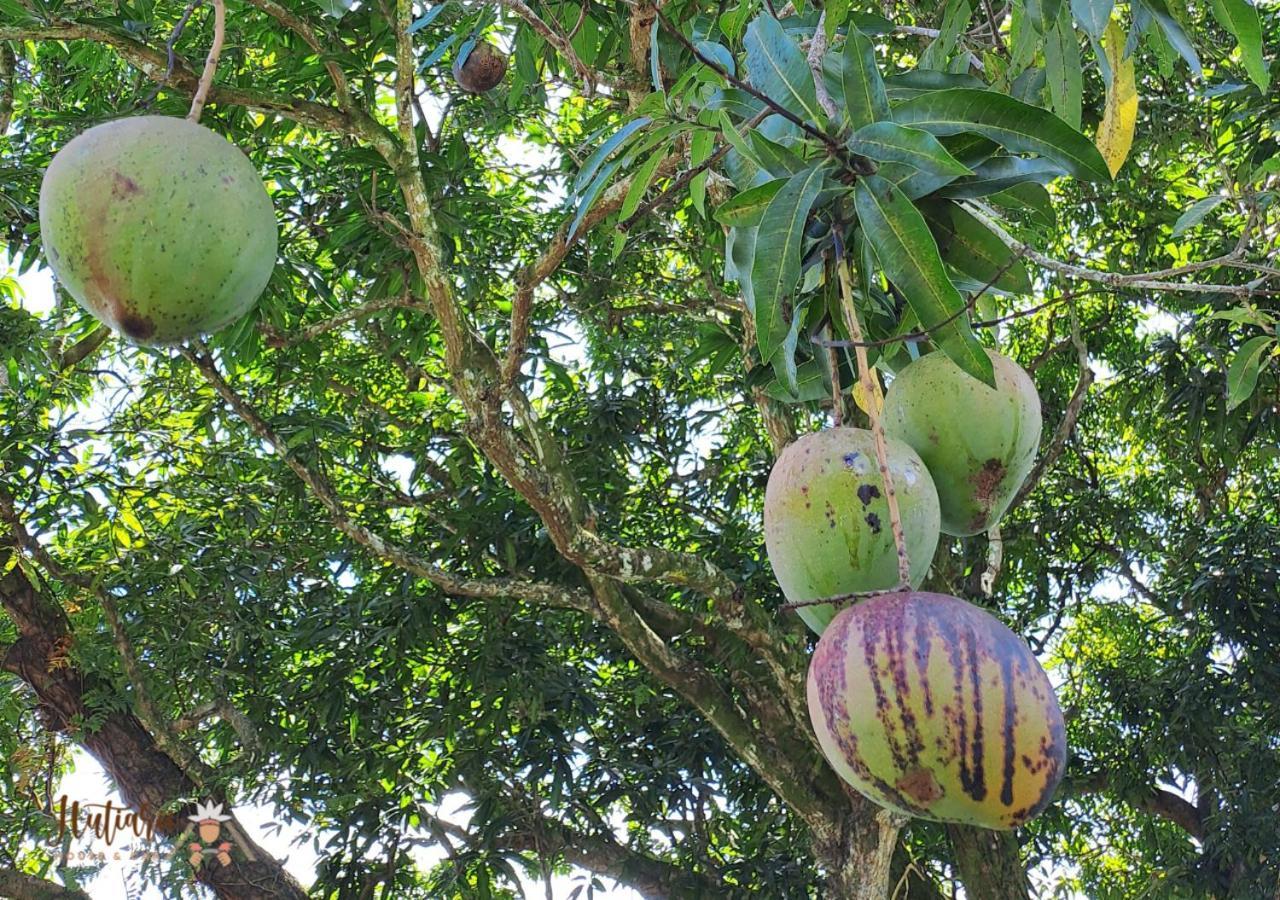 Hutiarii House & Car & Excursions Raiatea Βίλα Tevaitoa Εξωτερικό φωτογραφία